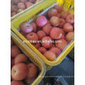 China Fresh Apple Fuji-red general 2017 crop